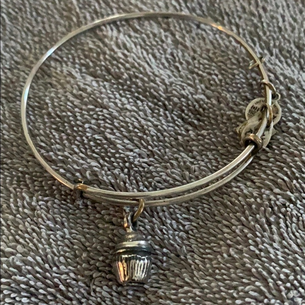 Alex and ani